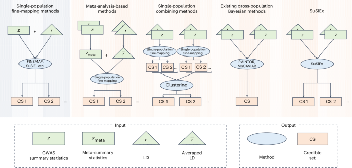 Fine-mapping across generations to stimulate the discovery of diverse causes underlying human processes and diseases - Nature Genetics